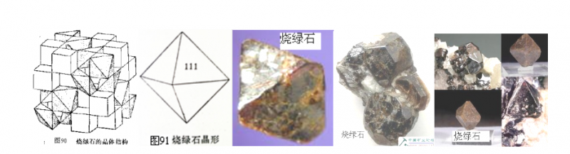 QQ浏览器截图20200420163646