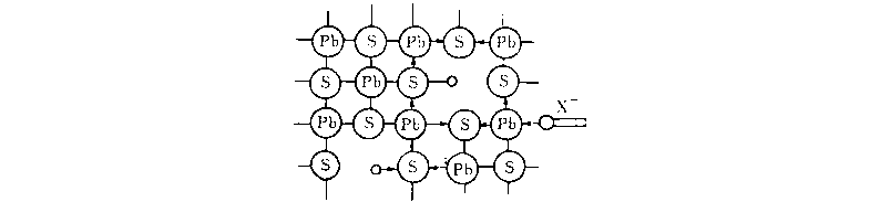 图片12