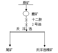 反浮选磨矿细度条件试验流程 