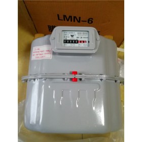 丹东热工仪表LMN-100工业燃气表
