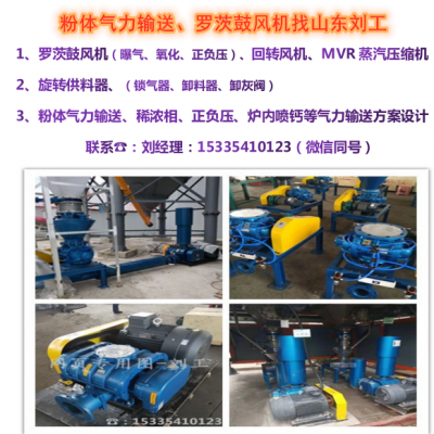 厂家供应稀相气力输送系统 气力除灰物料输送旋转给料阀 送料图2