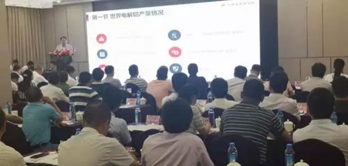 中商碳素研究院姜玉敬院长应百色铝业协会大会邀请做铝工业专题讲座