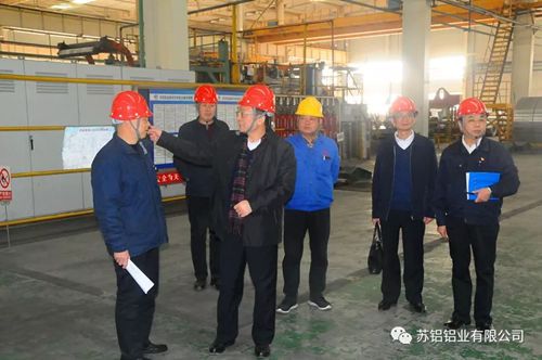 徐宏伟到苏铝铝业调研指导工作 徐宏伟到苏铝铝业调研指导工作