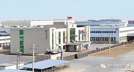 东盛金属：五次技术升级诞生全球铝行业标准起草人