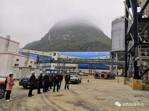 靖西市矿业、铝业企业接受百色督导组检查