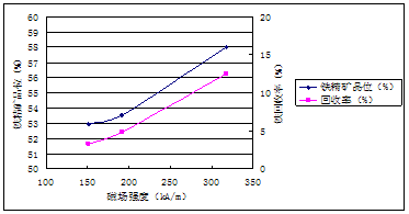 弱磁（中磁）扫选磁场强度试验结果