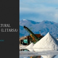 阿根廷萨尔塔省某锂矿开发项目