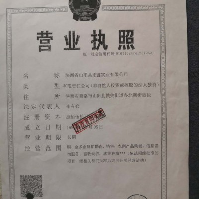 陕西省山阳县宏鑫实业有限公司窑火沟铜金矿采矿权及实物资产转让图3