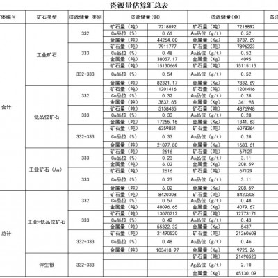 新疆自治区某铜金矿探矿权项目融资图2