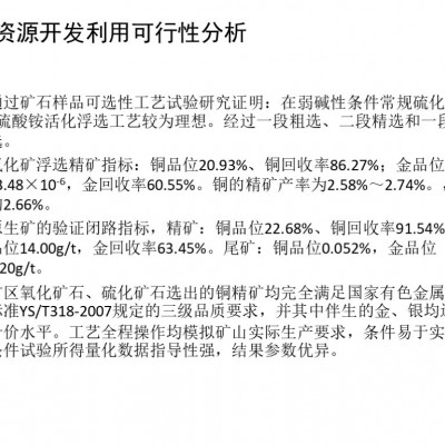 新疆自治区某铜金矿探矿权项目融资图9