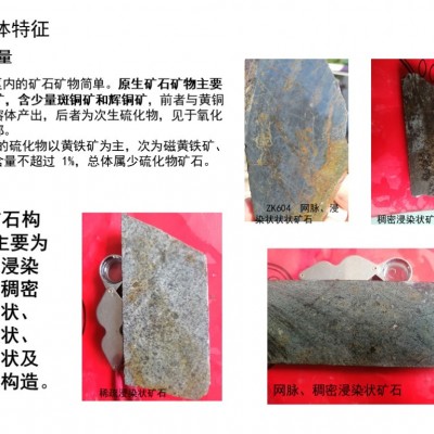 新疆自治区某铜金矿探矿权项目融资图6