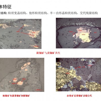 新疆自治区某铜金矿探矿权项目融资图5
