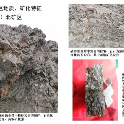 新疆自治区某铜金矿探矿权项目融资图8