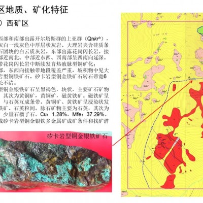 新疆自治区某铜金矿探矿权项目融资图7
