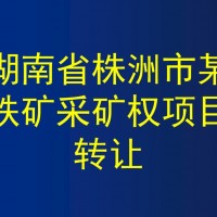 湖南省株洲市某铁矿采矿权项目转让