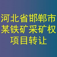 河北省邯郸市某铁矿采矿权项目转让