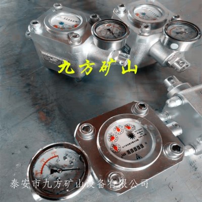 ZGS-6煤层注水表生产厂家图2