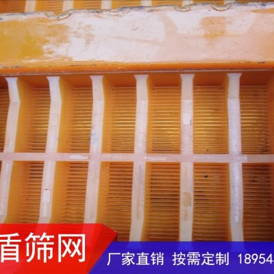 聚氨酯脱水筛图2