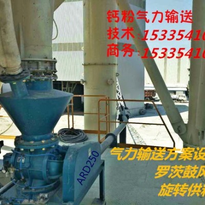 钙粉、煤粉、粉煤灰、等粉体气力输送系统设备图3