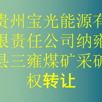 贵州宝光能源有限责任公司纳雍县三雍煤矿采矿权转让