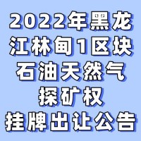 2022年黑龙江林甸1区块石油天然气探矿权挂牌出让公告
