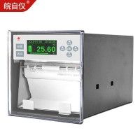 皖自仪GT11R有纸记录仪打点打印走纸式温湿度压力记录仪