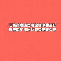 江西省横峰县廖家铜多金属矿普查探矿权出让成交结果公示