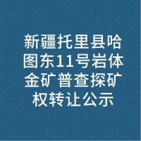 新疆托里县哈图东11号岩体金矿普查探矿权转让公示