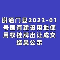 谢通门县2023-01号国有建设用地使用权挂牌出让成交结果公示