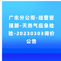 广东分公司-经营管理部-天然气应急检验-20230303询价公告