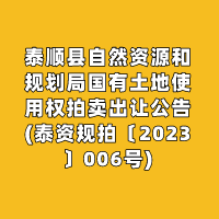 泰顺县自然资源和规划局国有土地使用权拍卖出让公告(泰资规拍〔2023〕006号)