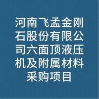 河南飞孟金刚石股份有限公司六面顶液压机及附属材料采购项目