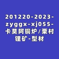 201220-2023-zyggx-xj055-卡莫阿铜炉/粟村锂矿-型材-（上海）