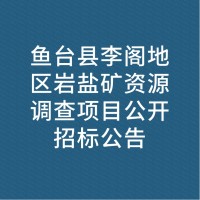 鱼台县李阁地区岩盐矿资源调查项目公开招标公告