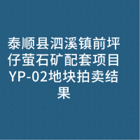 泰顺县泗溪镇前坪仔萤石矿配套项目YP-02地块拍卖结果