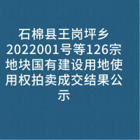 石棉县王岗坪乡2022001号等126宗地块国有建设用地使用权拍卖成交结果公示