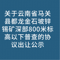 关于云南省马关县都龙金石坡锌锡矿深部800米标高以下普查的协议出让公示