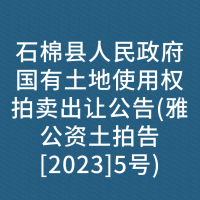 石棉县人民政府国有土地使用权拍卖出让公告(雅公资土拍告[2023]5号)