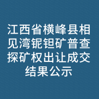 江西省横峰县相见湾铌钽矿普查探矿权出让成交结果公示