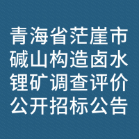 青海省茫崖市碱山构造卤水锂矿调查评价公开招标公告