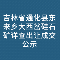 吉林省通化县东来乡大西岔硅石矿详查出让成交公示