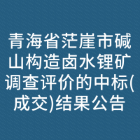青海省茫崖市碱山构造卤水锂矿调查评价的中标(成交)结果公告