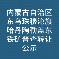 内蒙古自治区东乌珠穆沁旗哈丹陶勒盖东铁矿普查转让公示