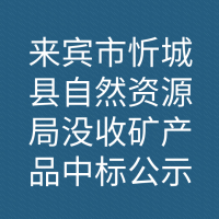 来宾市忻城县自然资源局没收矿产品中标公示