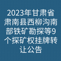 2023年甘肃省肃南县西柳沟南部铁矿勘探等9个探矿权挂牌转让公告