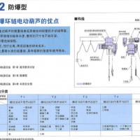 日本 KITO   RER2防爆型 防爆环链电动葫芦