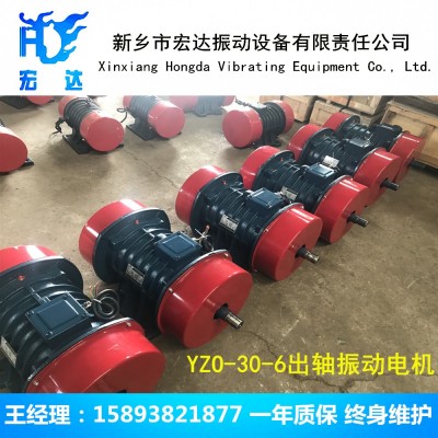 YZU-100-6三相异步振动电机图5