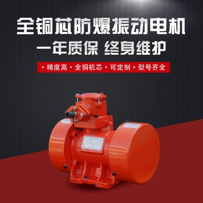 YBZH112-10-2粉尘防爆振动电机 0.75KW图2