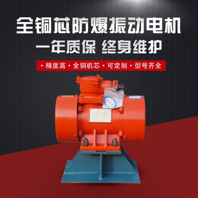 YBZH112-10-2粉尘防爆振动电机 0.75KW图3