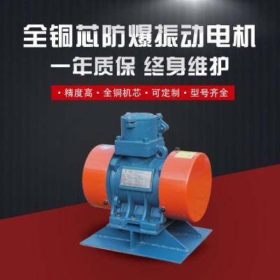 YBZH112-10-2粉尘防爆振动电机 0.75KW图4